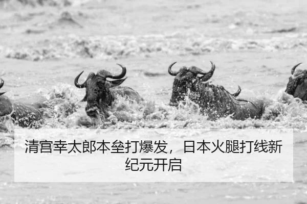 qing-gong-xing-tai-lang-ben-lei-da-bao-fa-ri-ben-huo-tui-da-xian-xin-ji-yuan-kai-qi-3-591.jpg